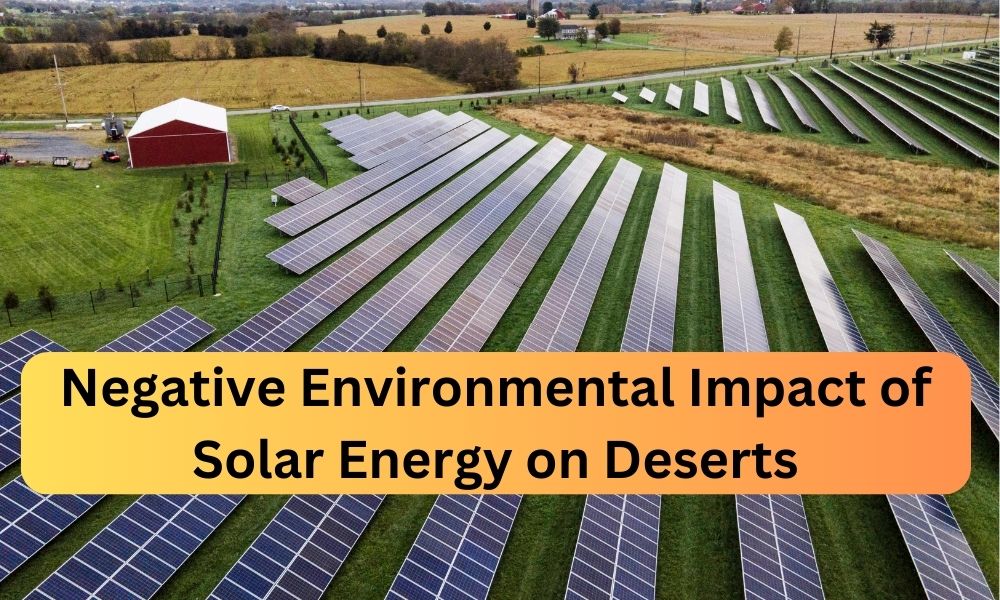 Negative Environmental Impact of Solar Energy on Deserts 2024