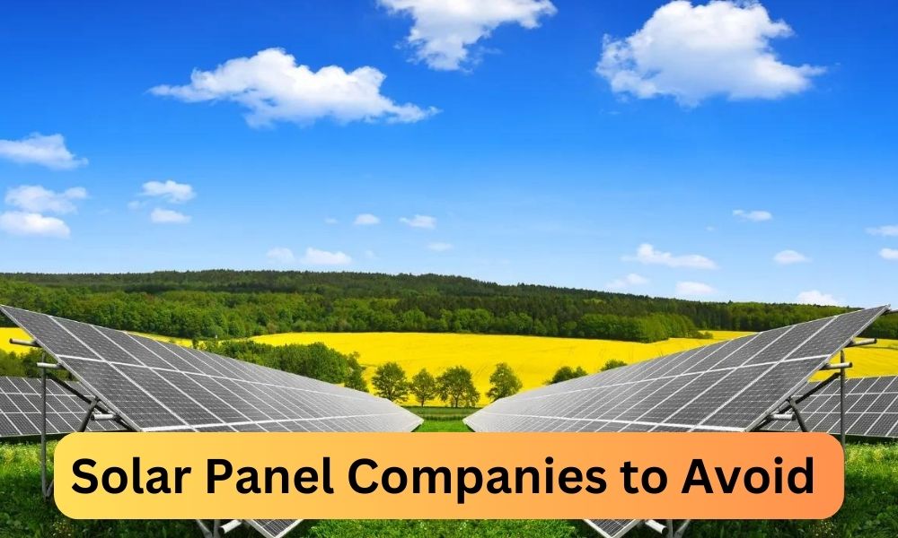 Solar Panel Companies to Avoid